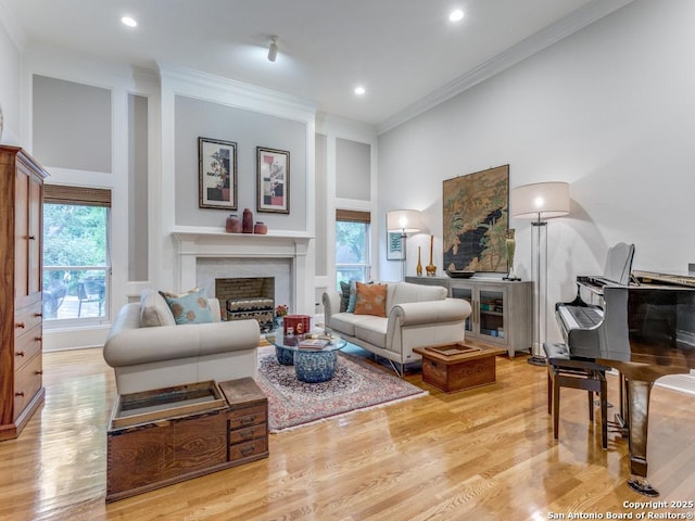 living area featuring plenty of natural light, a fireplace, light wood-type flooring, and a towering ceiling