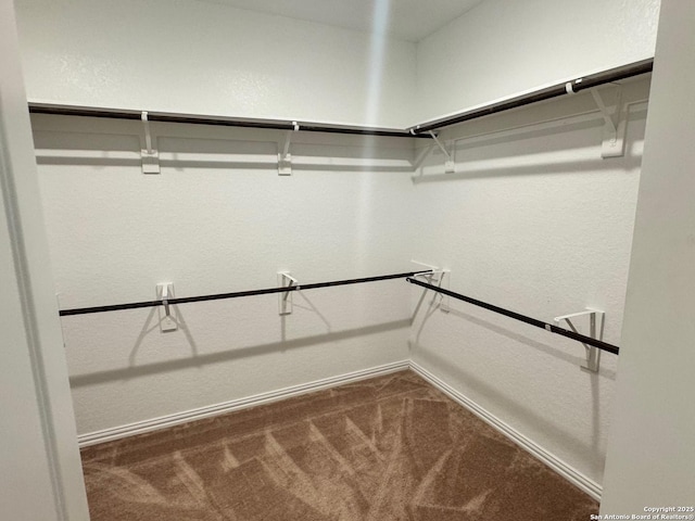 spacious closet featuring carpet