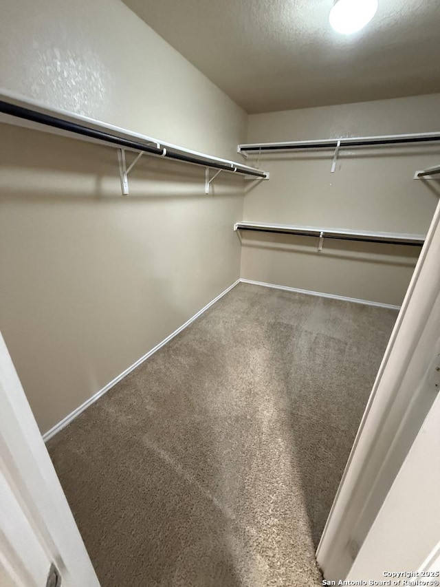 spacious closet featuring carpet