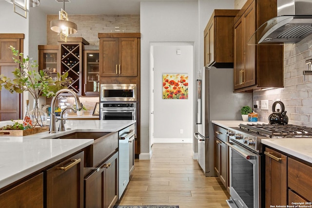 kitchen with tasteful backsplash, a sink, ventilation hood, light wood-style floors, and stainless steel appliances
