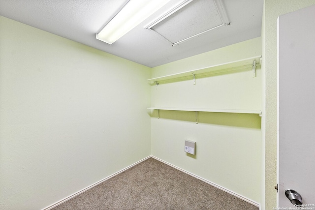 clothes washing area with carpet floors