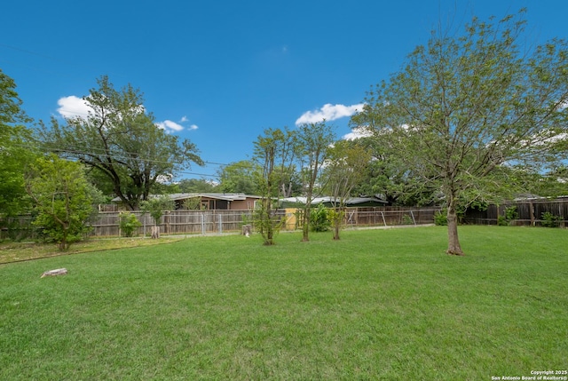239 Sharon Dr, San Antonio, TX 78216 - view of yard featuring a fenced backyard