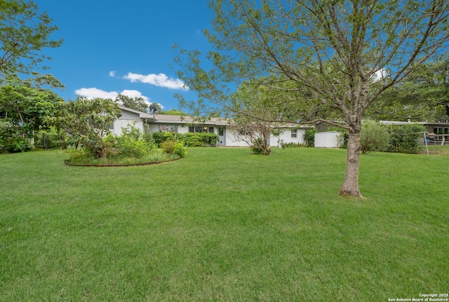239 Sharon Dr, San Antonio, TX 78216 - view of yard