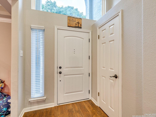 entryway featuring wood finished floors