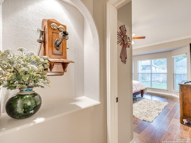 corridor featuring a textured wall, baseboards, ornamental molding, and wood finished floors