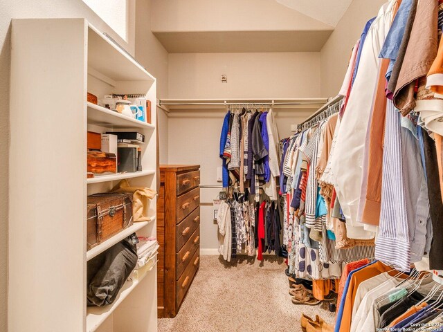 spacious closet with carpet