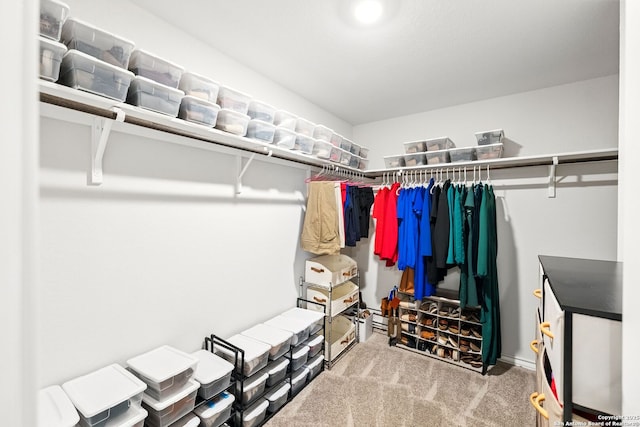 spacious closet featuring carpet flooring