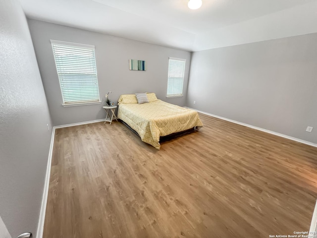bedroom featuring baseboards, multiple windows, and wood finished floors