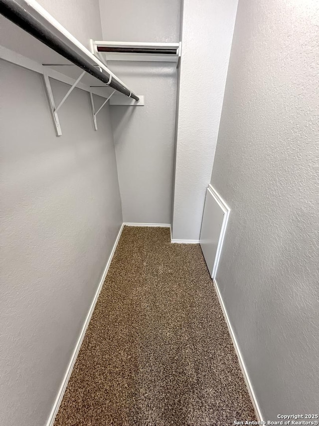 walk in closet with carpet