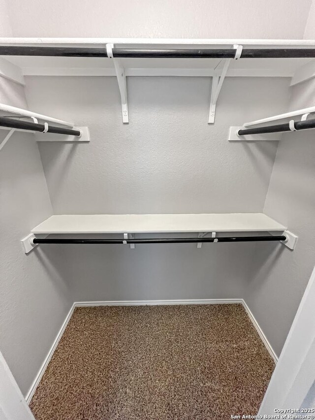spacious closet with carpet flooring