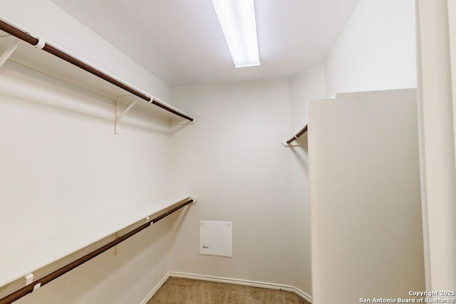 26923 Trinity Hts, San Antonio, TX 78261 - spacious closet with carpet floors