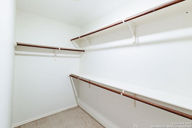 26923 Trinity Hts, San Antonio, TX 78261 - walk in closet featuring light carpet