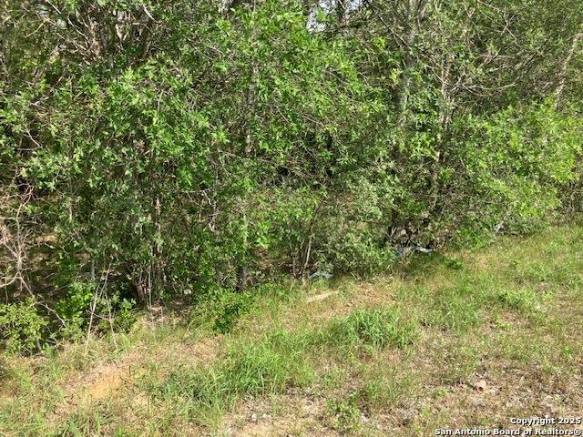 TBA Stuart Rd, Adkins, TX 78101
