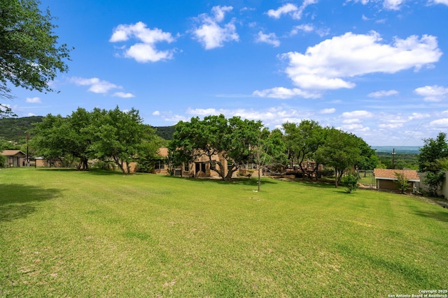 view of yard