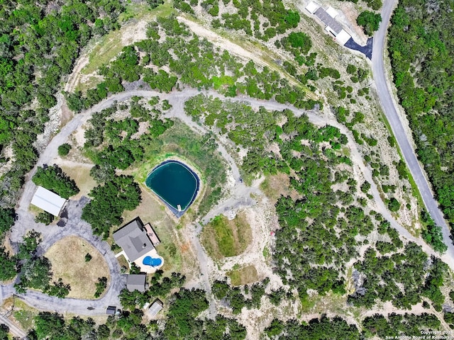 bird's eye view