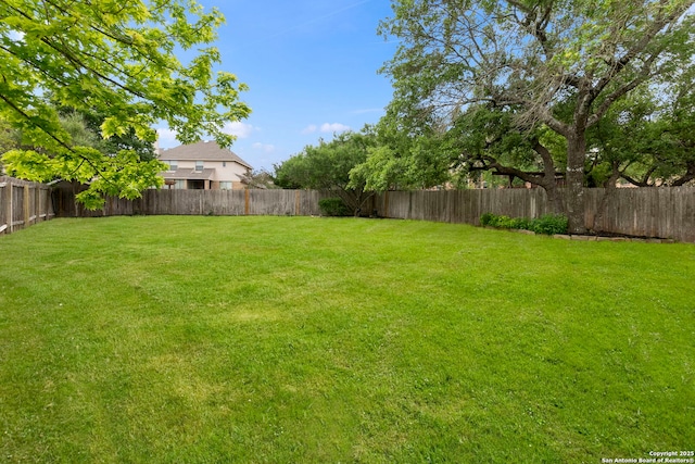 view of yard with a fenced backyard