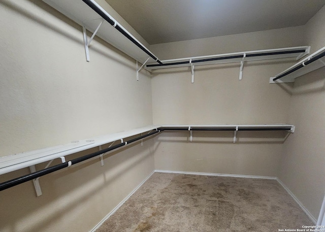 spacious closet with carpet floors