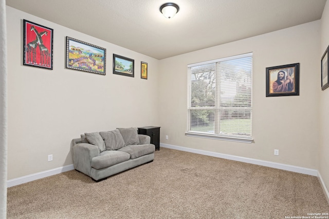 living area with baseboards and carpet flooring