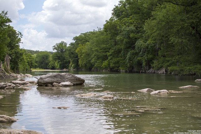 property view of water featuring a forest view