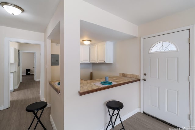 foyer featuring baseboards, electric panel, and dark wood-style floors