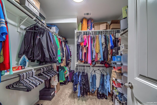 13408 Drop Seed, San Antonio, TX 78254 - view of spacious closet
