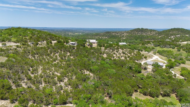 137A Spanish Pass, Boerne, TX 78006 - view of property location with a heavily wooded area