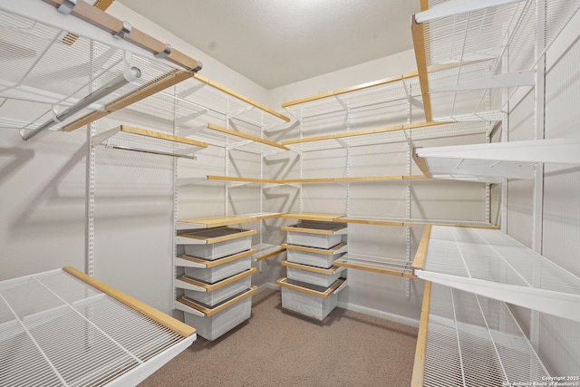 8715 Anton Chico, Helotes, TX 78023 - spacious closet featuring carpet flooring