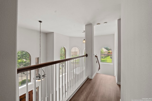 8715 Anton Chico, Helotes, TX 78023 - hall with baseboards, a healthy amount of sunlight, and wood finished floors