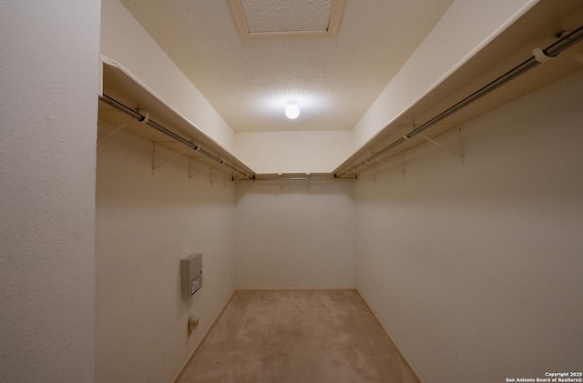 1903 Copperfield, San Antonio, TX 78251 - spacious closet with carpet flooring