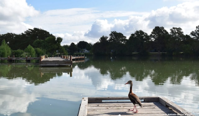 view of dock with a water view