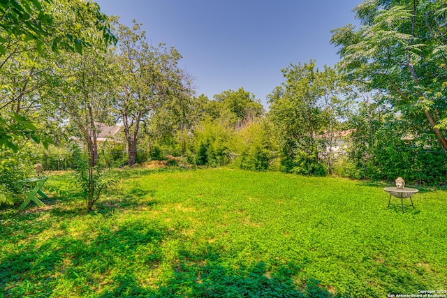 view of yard