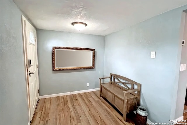 interior space with light wood-type flooring