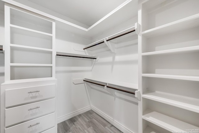 7186 Lake Placid, Corpus Christi, TX 78414 - spacious closet featuring light wood-style flooring