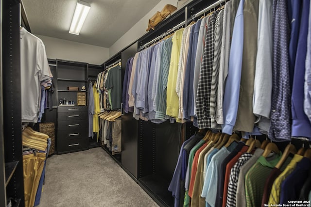 29919 Capstone Walk, Boerne, TX 78015 - walk in closet with carpet