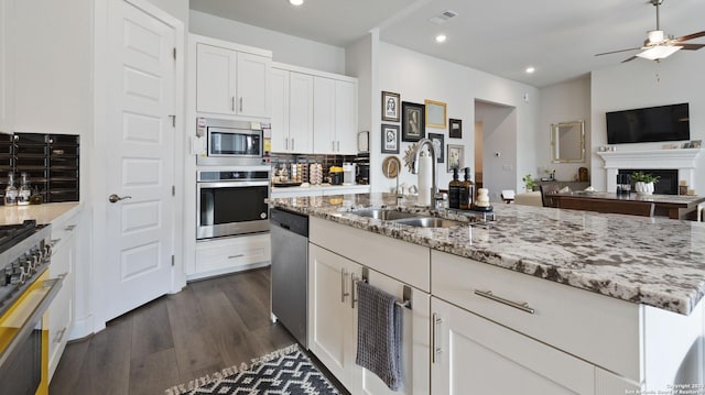 29919 Capstone Walk, Boerne, TX 78015 - kitchen with ceiling fan, light stone counters, a sink, stainless steel appliances, and open floor plan