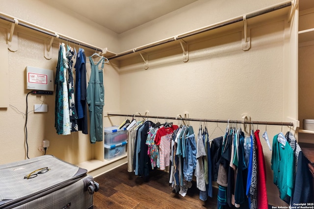 walk in closet featuring wood finished floors