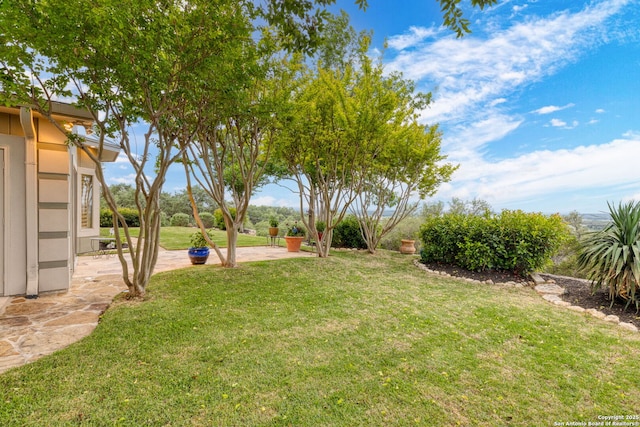 view of yard with a patio