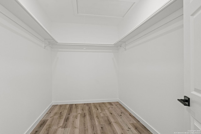 spacious closet featuring attic access and light wood-type flooring