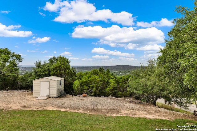 view of yard with a storage unit, an outdoor structure, and a view of trees