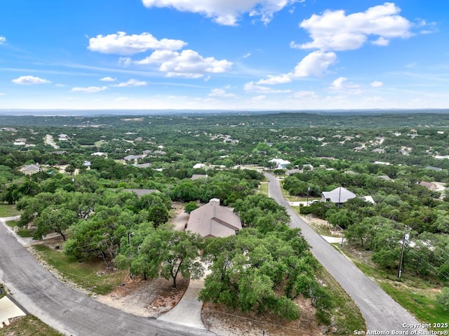bird's eye view