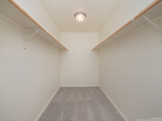 120 Lakeview Ct, Spring Branch, TX 78070 - walk in closet with light colored carpet
