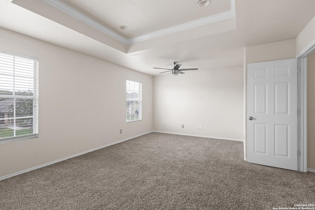 spare room with a ceiling fan, carpet floors, baseboards, a raised ceiling, and ornamental molding