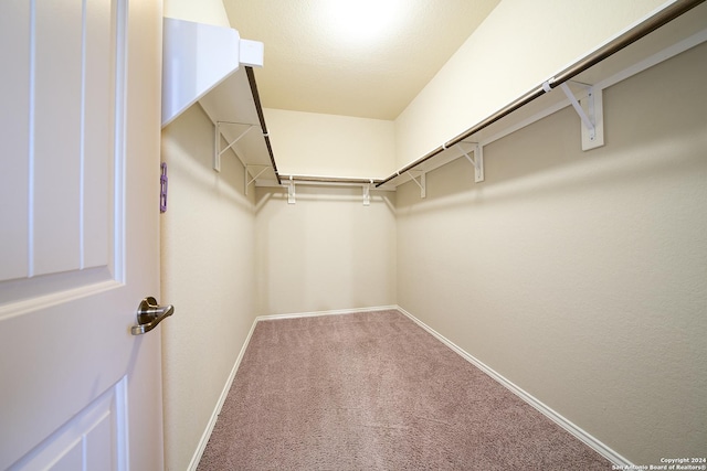242 Posey Pass, New Braunfels, TX 78132 - walk in closet with carpet flooring