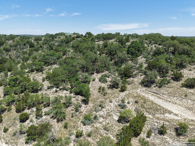 231 Echo Fls, Comfort, TX 78013