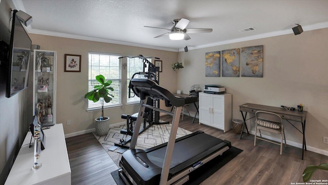 6139 Mackenzie, San Antonio, TX 78247 - exercise area featuring a ceiling fan, crown molding, dark wood finished floors, and baseboards