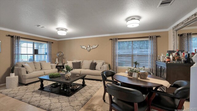 6139 Mackenzie, San Antonio, TX 78247 - living room featuring healthy amount of natural light, crown molding, a textured ceiling, and baseboards