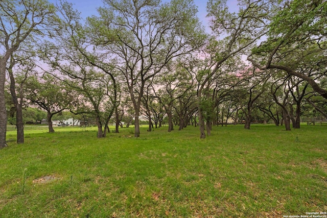 26118 Alto Oaks, San Antonio, TX 78255 - view of grassy yard