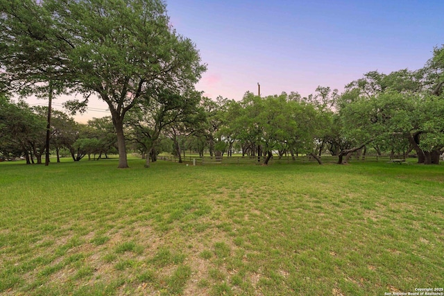 26118 Alto Oaks, San Antonio, TX 78255 - view of grassy yard