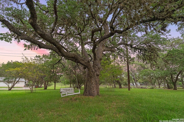 26118 Alto Oaks, San Antonio, TX 78255 - view of community featuring a yard