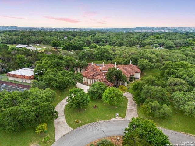 26118 Alto Oaks, San Antonio, TX 78255 - drone / aerial view of a forest